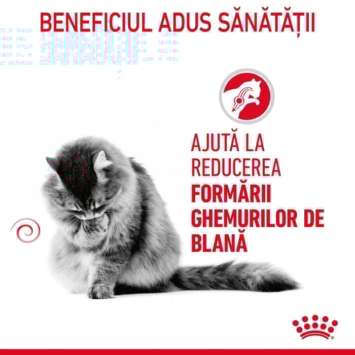 Royal Canin Hairball Care [6]