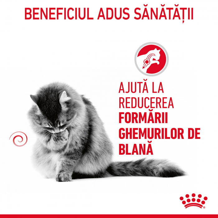 Royal Canin Hairball Care Gravy Plic 85 G [5]