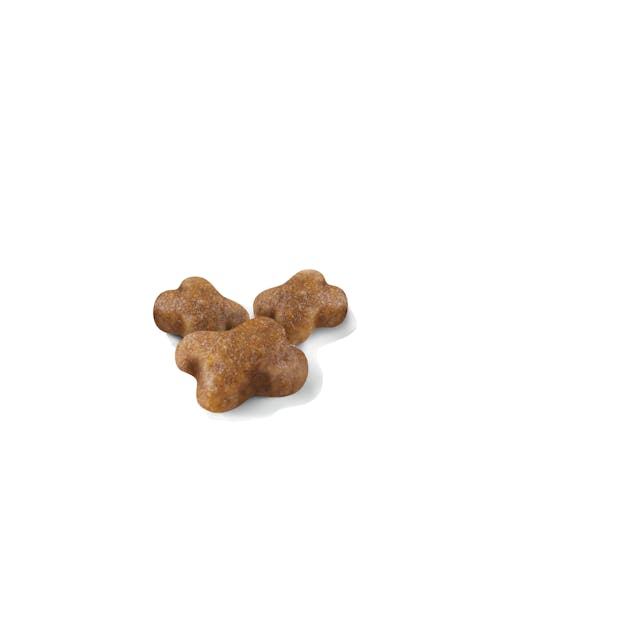 Royal Canin Kitten [2]