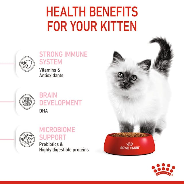 Royal Canin Kitten [6]