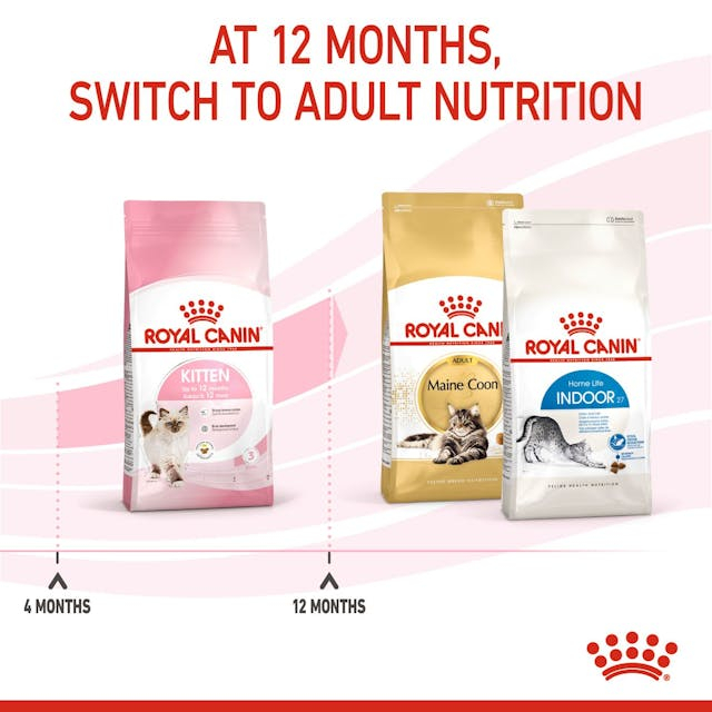 Royal Canin Kitten [8]