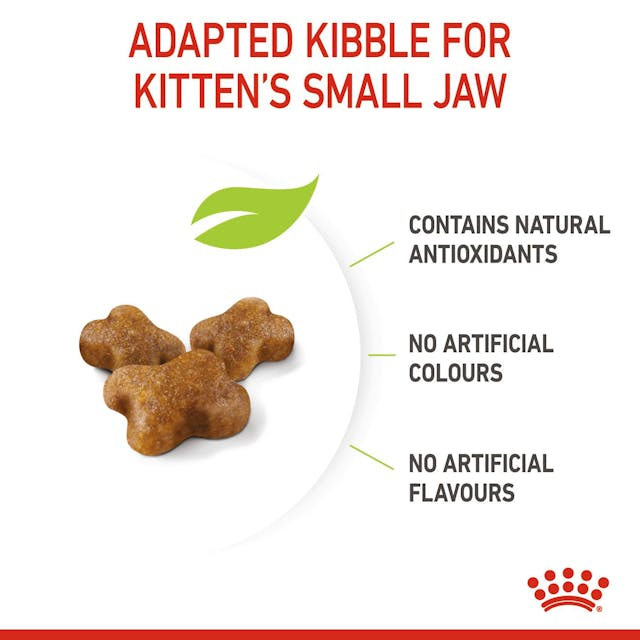 Royal Canin Kitten [7]