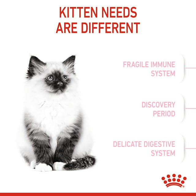 Royal Canin Kitten [5]