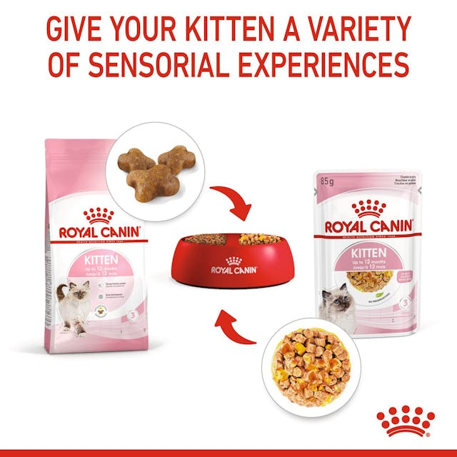 Royal Canin Kitten In Jelly Plic 85 G [7]