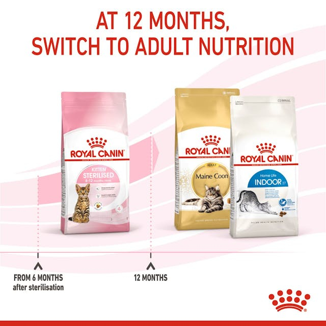 Royal Canin Kitten Sterilised [8]