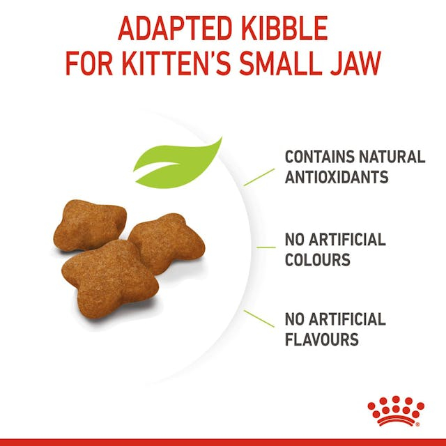 Royal Canin Kitten Sterilised [6]
