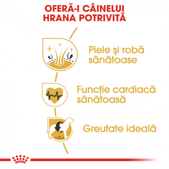 Royal Canin Golden Retriever Adult [6]