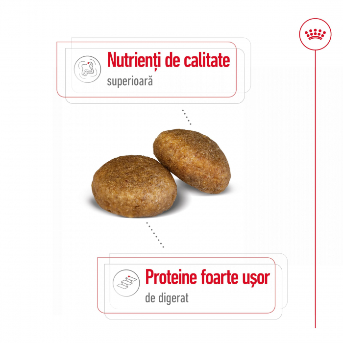 Royal Canin Maxi Adult [5]