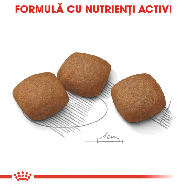 Royal Canin Maxi Joint Care [5]