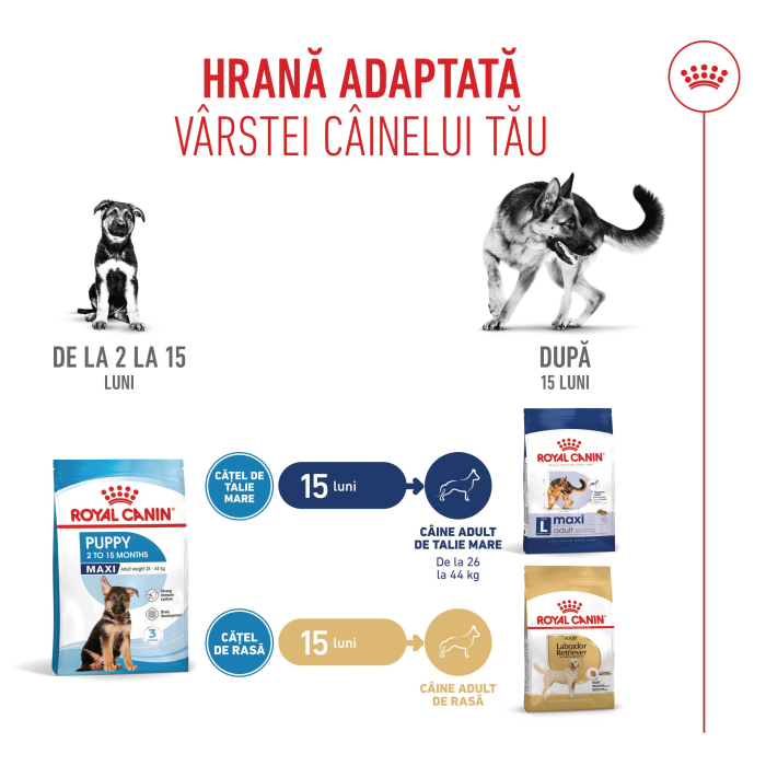 Royal Canin Maxi Puppy [6]