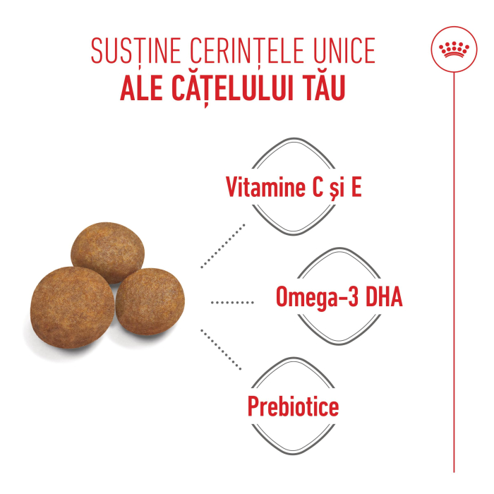 Royal Canin Maxi Puppy [3]