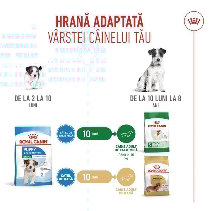 Royal Canin Mini Puppy [2]