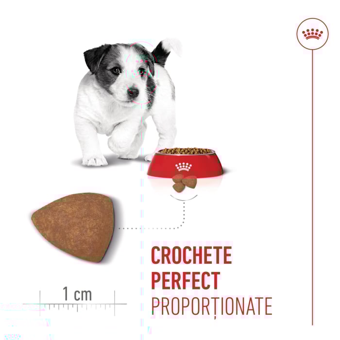 Royal Canin Mini Puppy [4]