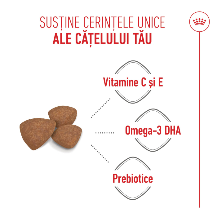 Royal Canin Mini Puppy [7]