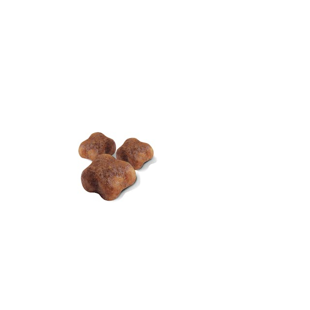 Royal Canin Mother&Babycat [2]