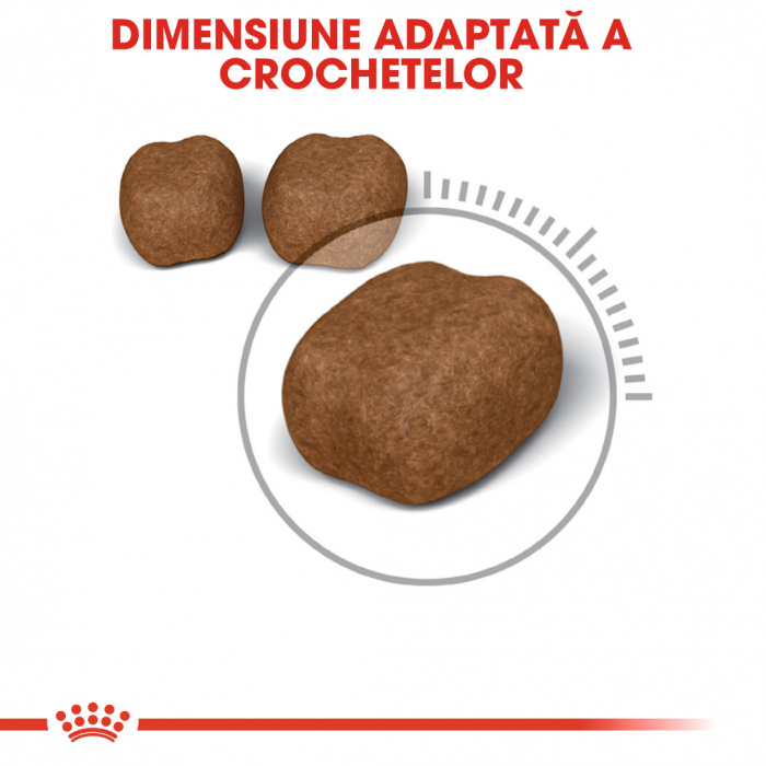 Royal Canin Dental Care [2]