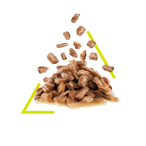 Royal Canin Sensory Smell Plic in Sos 85 Gr [2]