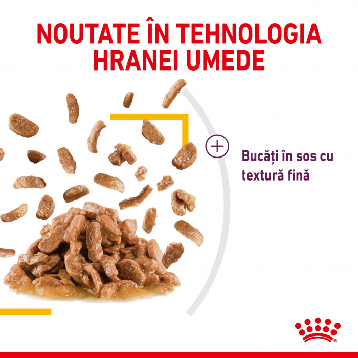 Royal Canin Sensory Taste Plic in Sos 85 Gr [2]