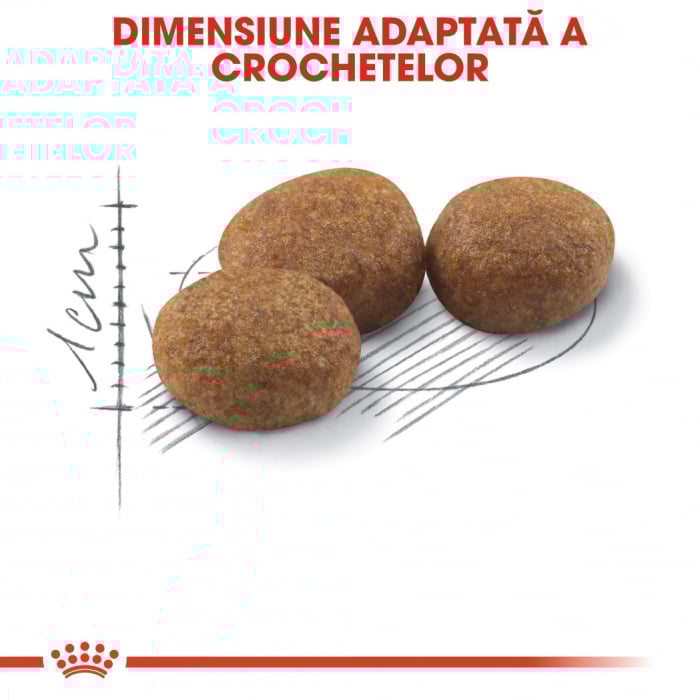 Royal Canin Sterilised Cat [5]