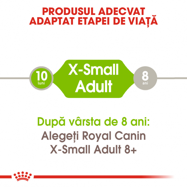Royal Canin X-Small Adult [5]