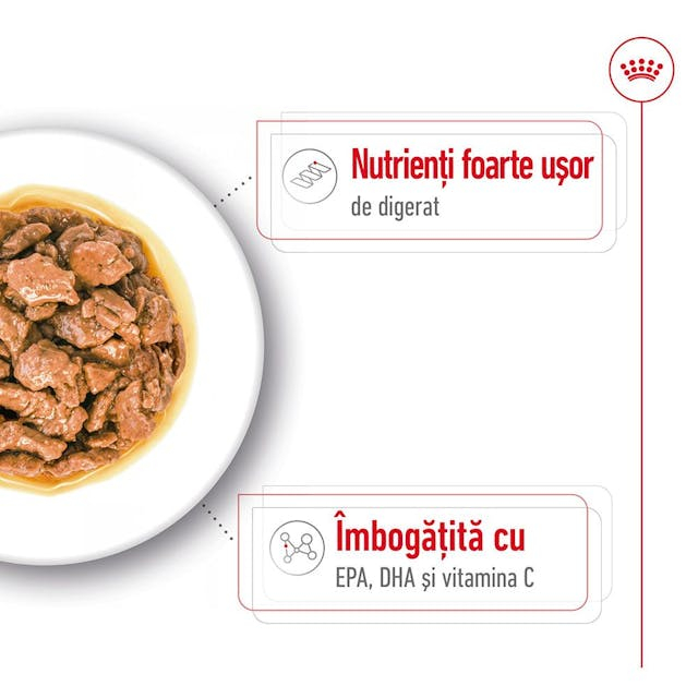 Royal Canin X-Small Plic 85 G [7]