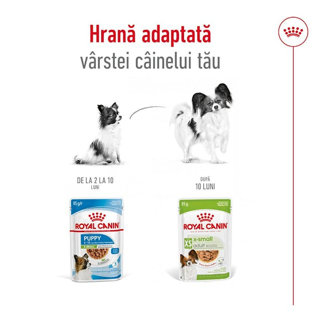 Royal Canin X-Small Plic 85 G [6]