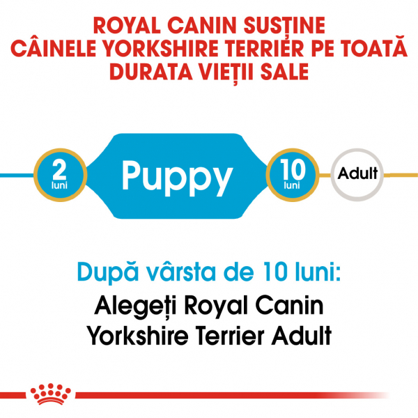 Royal Canin Yorkshire Terrier Junior [4]
