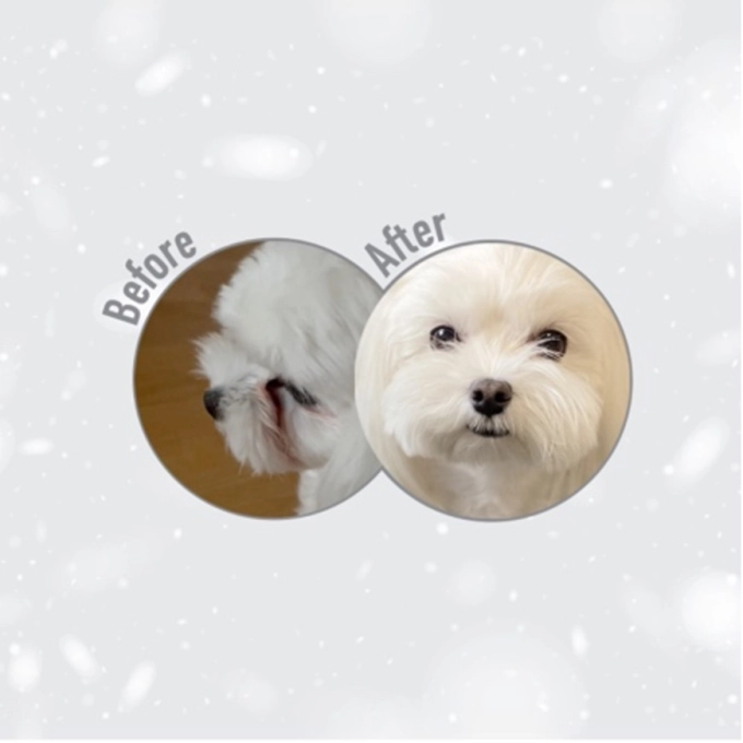 Superior Care White Dogs Grain Free White Fish Adult Small&Mini Breeds [8]