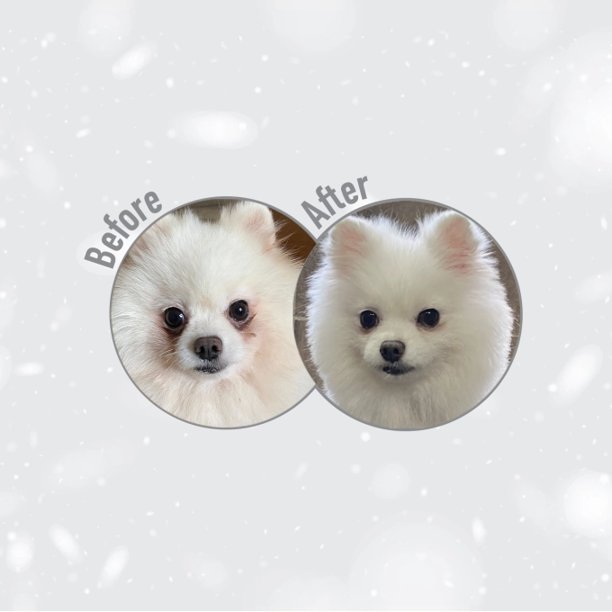 Superior Care White Dogs Lamb Adult Small&Mini Breeds [10]