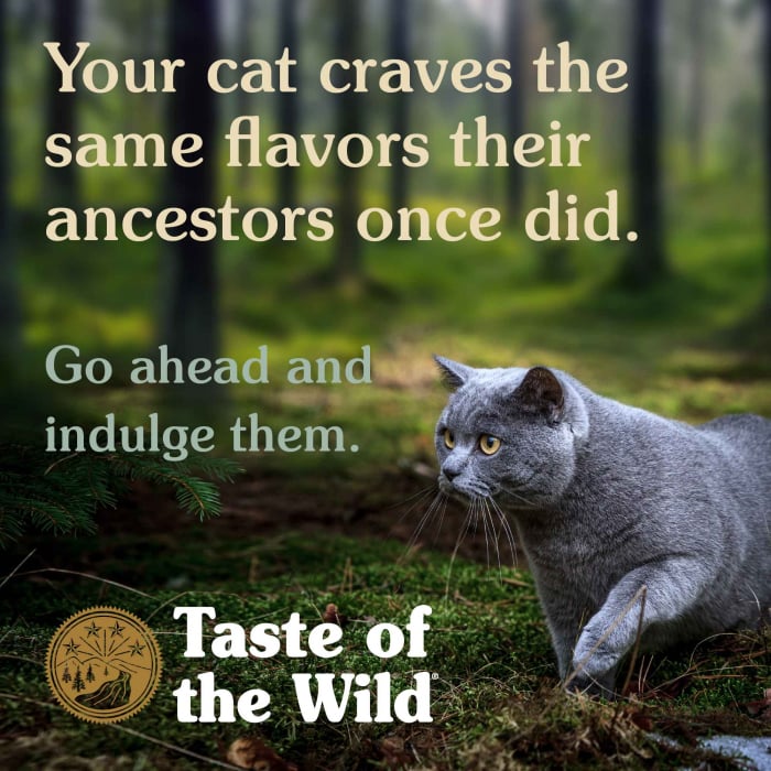 Taste of the Wild Lowland Creek Cat [6]