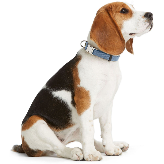 Hunter Zgarda Vario Basic Alu-Strong M [4]