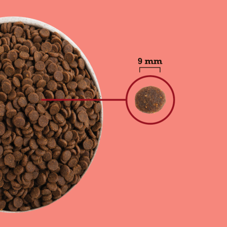 Acana Cat Highest Protein Indoor 4.5 Kg [2]
