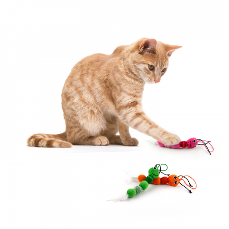 All for paws Jucarie Feather Snake pentru Pisici [3]