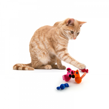 All for paws Jucarie Sweet Mouse pentru Pisici [5]