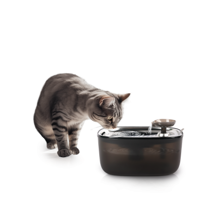 Fantani si Adapatoare - All for Paws Quiet Stream Cat Fantana pentru Pisici 2 L