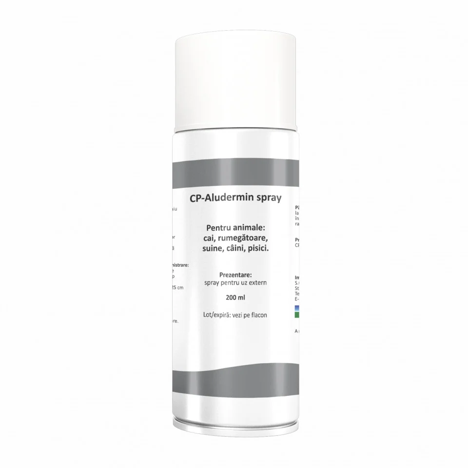 Caini - Aluminium Spray 200 ML