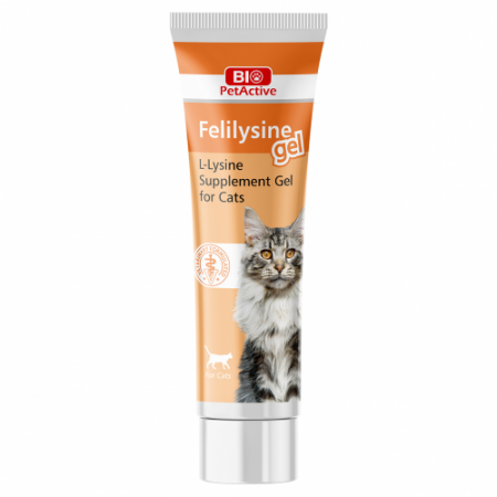 Suplimente Nutritive Pisici - Bio PetActive Felilysine Gel L-Lysine