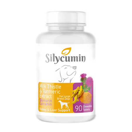 Suplimente Nutritive Pisici - Bio PetActive Silycumin cu Turmeric si Armurariu pentru Caini Adulti de Talie Mare