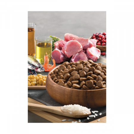 BonaCibo Adult Lamb&Rice [2]