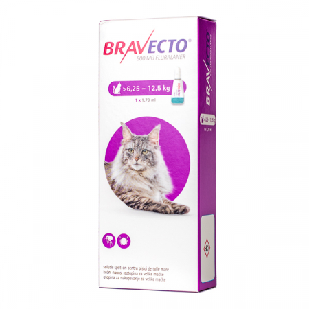Farmacie Pisici - Bravecto Spot On Antiparazitar Extern pentru Pisici 1 Pipeta (6.25-12.5 Kg)