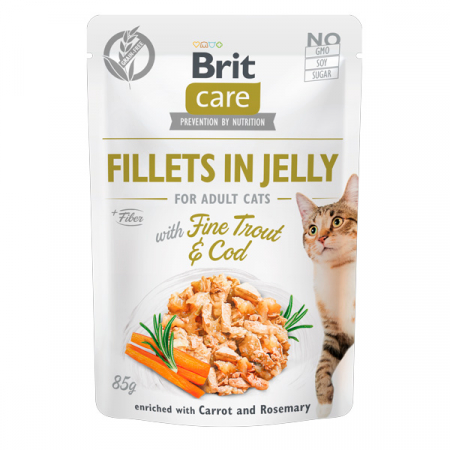 Pisici - Brit Care Cat Fileuri de Pastrav si Cod in Jeleu 85 Gr