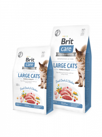 Pisici - Brit Care Cat GF Large Cats Power and Vitality