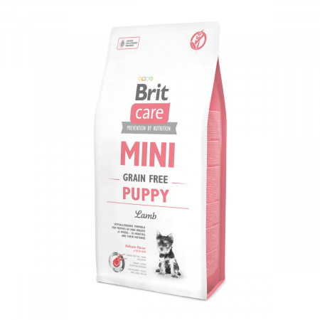 Brit Care - Brit Care Mini Grain free Puppy cu Miel