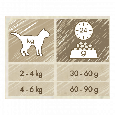 Cat Chow Adult Somon [3]