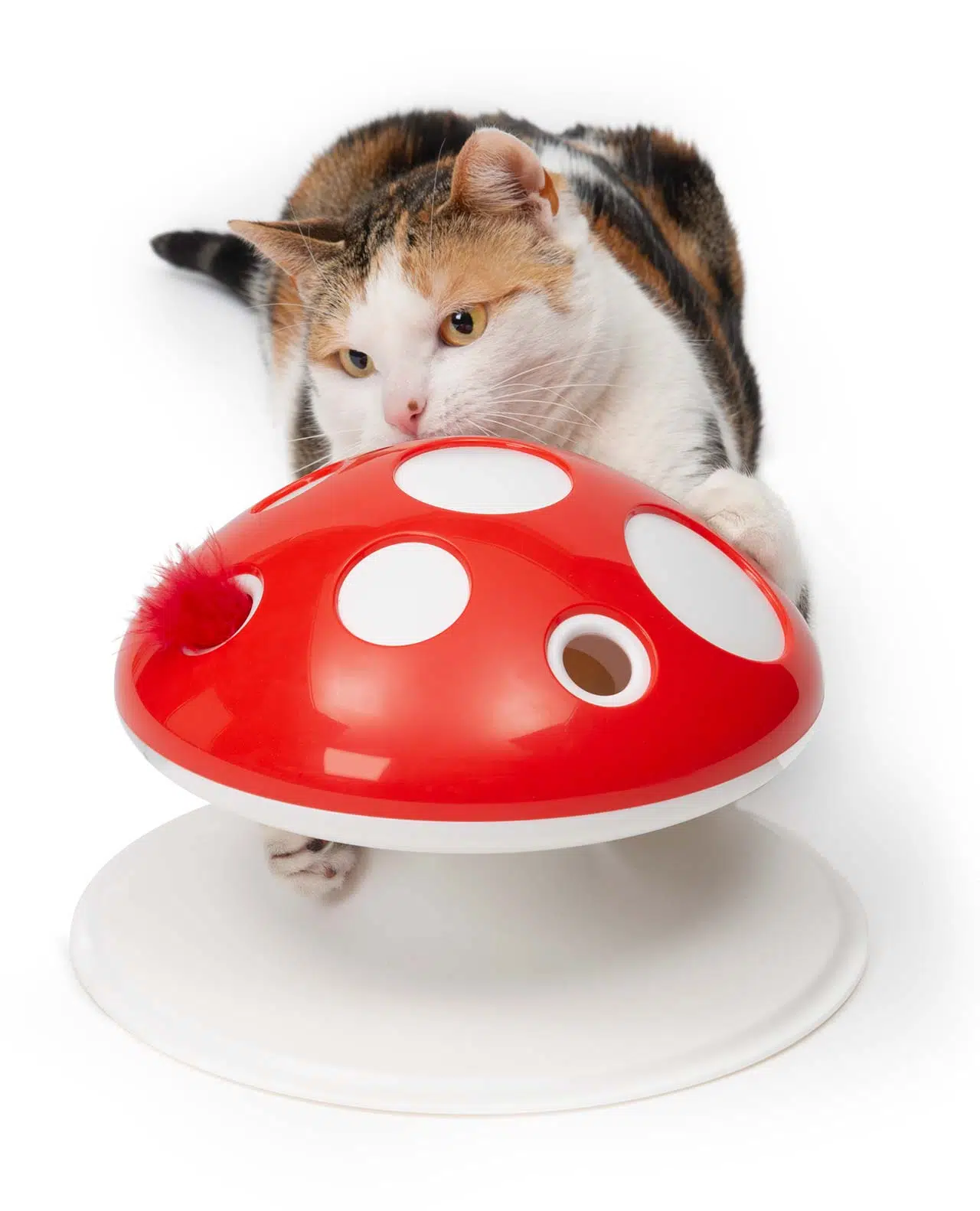 Pisici - Catit Pixi Jucarie Dinamica Senses Mushroom pentru Pisici