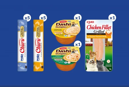 Ciao Churu Gift Box 13 Buc [1]