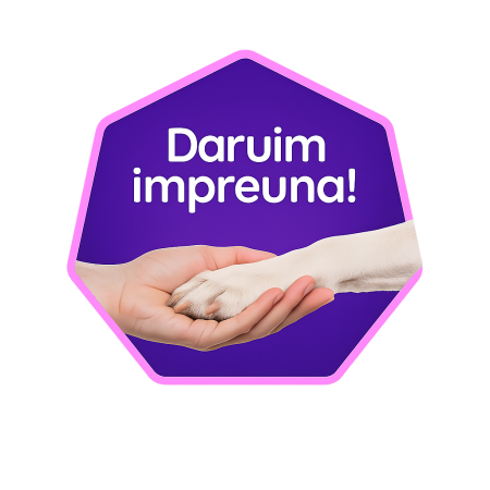 Zoopoint Care - Daruim impreuna