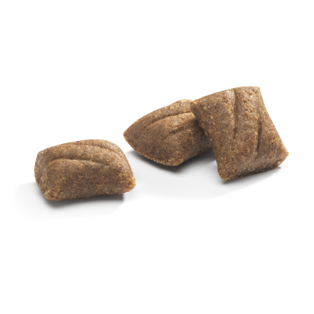 Doggyebag Christmas Biscuits cu Rata si Portocala 180 g [2]
