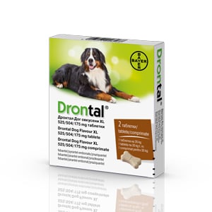 Antiparazitare - Drontal Dog Flavour XL cutie 2 Tablete