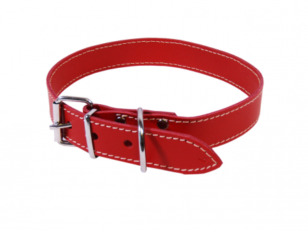 Caini - exotic-k-zgarda-caini-l5